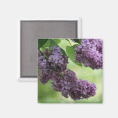 Lovely Spring Magnet (Voorkant / Achterkant)
