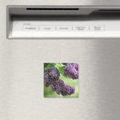 Lovely Spring Magnet (Insitu (Vaatwasser))