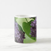 Lovely Spring Mok (Center)