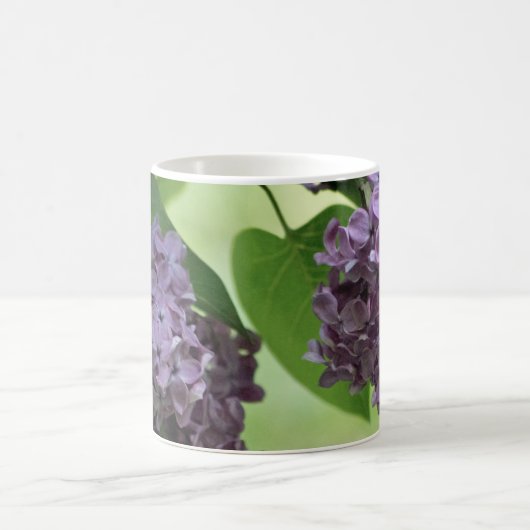 Lovely Spring Mok (Center)