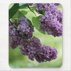 Lovely Spring Mousepad Muismat
