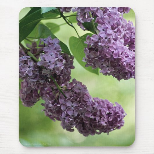 Lovely Spring Mousepad Muismat (Voorkant)