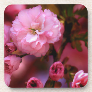 Lovely Spring roze Cherry Blossom Drankjes Onderzetter