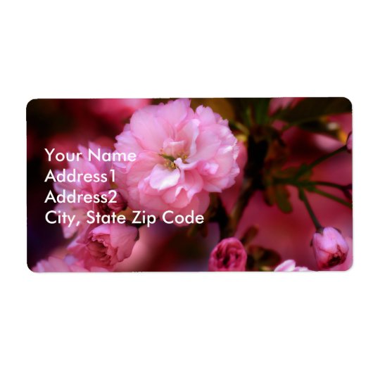 Lovely Spring roze Cherry Blossom Etiket (Voorkant)
