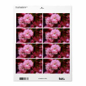 Lovely Spring roze Cherry Blossom Etiket (Full Sheet)