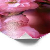 Lovely Spring roze Cherry Blossom Foto Afdruk (Hoek)