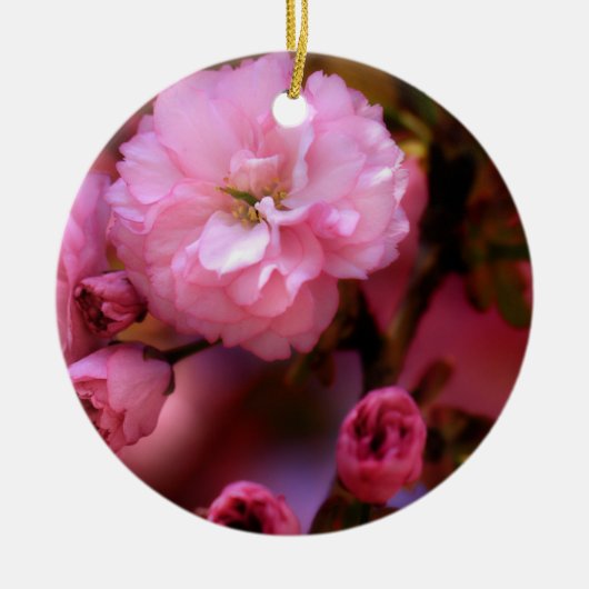 Lovely Spring roze Cherry Blossom Keramisch Ornament (Voorkant)