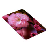 Lovely Spring roze Cherry Blossom Magneet (Rechterzijde)