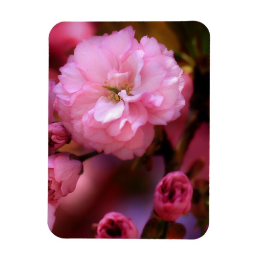 Lovely Spring roze Cherry Blossom Magneet (Verticaal)