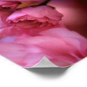 Lovely Spring roze Cherry Blossom Poster (Hoek)