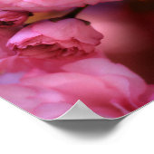 Lovely Spring roze Cherry Blossom Poster (Hoek)