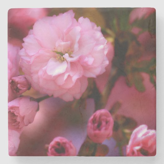 Lovely Spring roze Cherry Blossom Stenen Onderzetter (Voorkant)