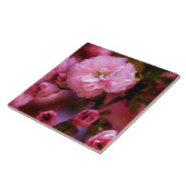Lovely Spring roze Cherry Blossom Tegeltje (Zijkant)