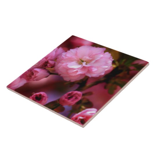 Lovely Spring roze Cherry Blossom Tegeltje (Zijkant)
