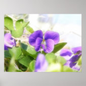 Lovely Spring Violet Poster (Voorkant)
