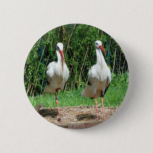 Lovely Stork Ronde Button 5,7 Cm (Voorkant)