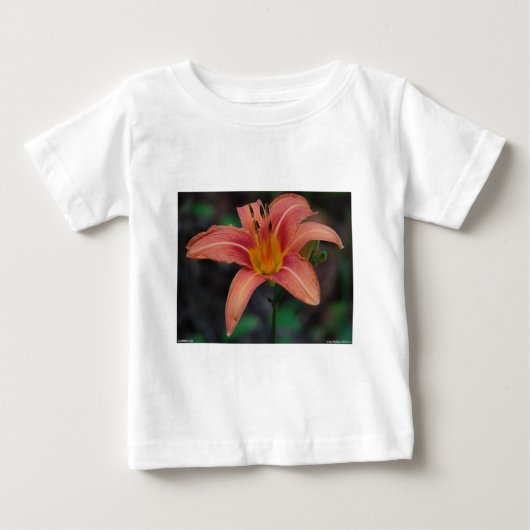Lovely Tawny Daylily Apparel en Gifts (Voorkant)