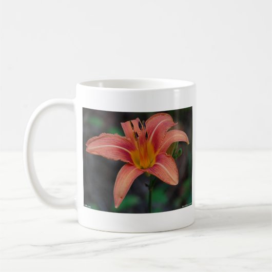 Lovely Tawny Daylily Apparel en Gifts Koffiemok (Links)