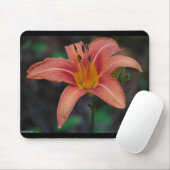 Lovely Tawny Daylily Apparel en Gifts Muismat (Met muis)