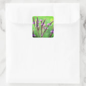Lovely Vervain Wildflower Floral Vierkante Sticker (Tas)