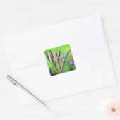 Lovely Vervain Wildflower Floral Vierkante Sticker (Envelop)