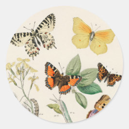 Lovely vintage illustration of butterflies ronde sticker