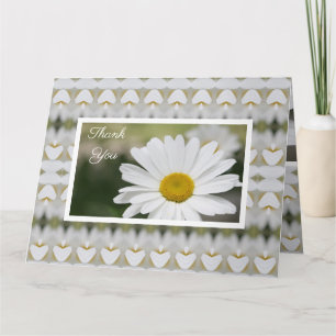Lovely White Daisy Kaart