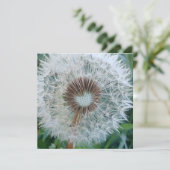 Lovely White Dandelion (Staand voorkant)