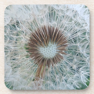 Lovely White Dandelion Bier Onderzetter