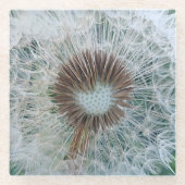 Lovely White Dandelion Glazen Onderzetter (Voorkant)