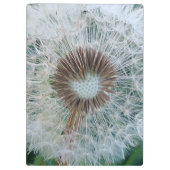 Lovely White Dandelion Klembord (Achterkant)