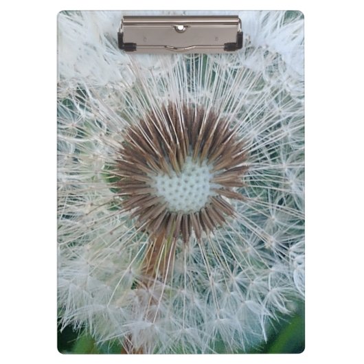 Lovely White Dandelion Klembord (Voorkant)
