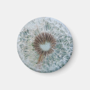 Lovely White Dandelion Magneet