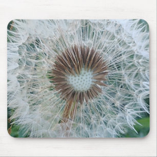 Lovely White Dandelion Muismat