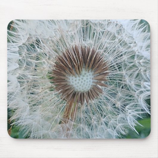 Lovely White Dandelion Muismat (Voorkant)