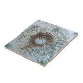 Lovely White Dandelion Tegeltje (Zijkant)