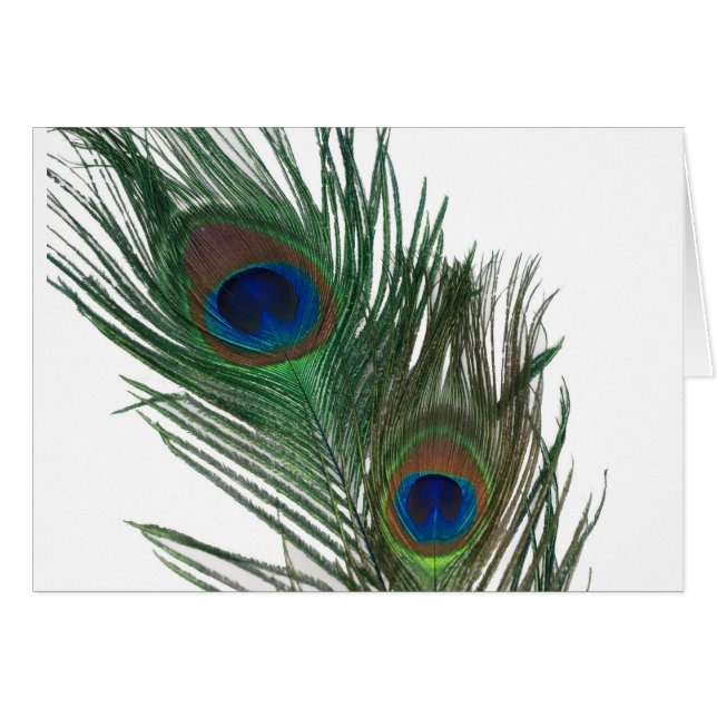 Lovely White Peacock Feather (Voorkant Horizontaal)