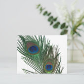 Lovely White Peacock Feather Briefkaart (Staand voorkant)