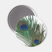 Lovely White Peacock Feather Magneet (Voorkant / Achterkant)