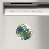 Lovely White Peacock Feather Magneet (Insitu (Vaatwasser))