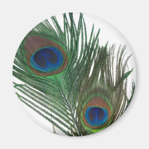 Lovely White Peacock Feather Magneet