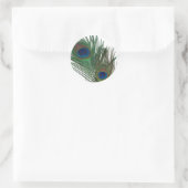 Lovely White Peacock Feather Ronde Sticker (Tas)