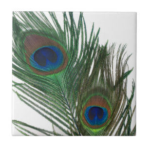 Lovely White Peacock Feather Tile Tegeltje