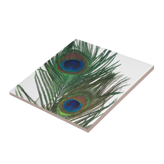 Lovely White Peacock Feather Tile Tegeltje (Zijkant)