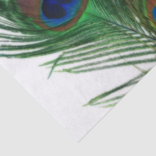 Lovely White Peacock Feather Tissuepapier (Detail)