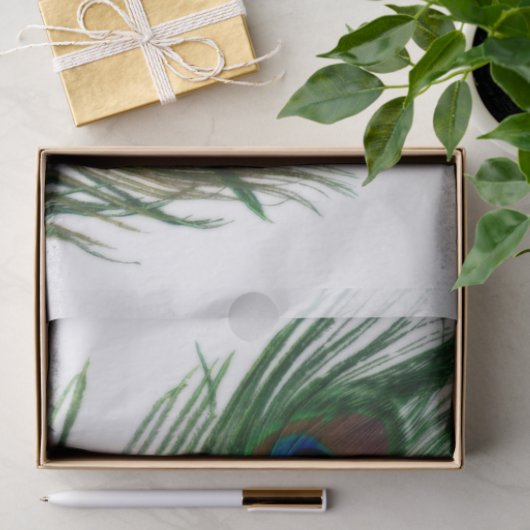 Lovely White Peacock Feather Tissuepapier (Geschenk)