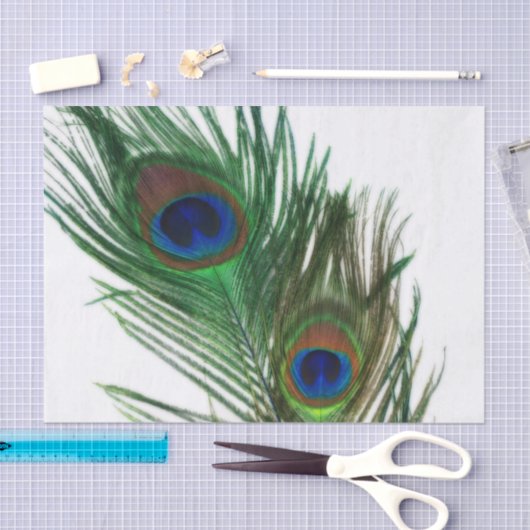 Lovely White Peacock Feather Tissuepapier (Craft)