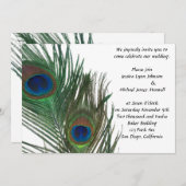 Lovely White Peacock Wedding Kaart (Voorkant / Achterkant)