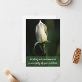 Lovely White Rosebud wenskaart Notitiekaartje (Voorkant / Achterkant in situ)