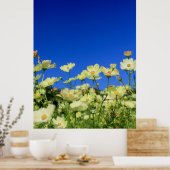 Lovely Yellow Cosmos Clear Blue Sky Flower Field Poster (Keuken)